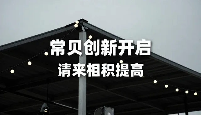 信息推广引流中如何选择企业黄页服务